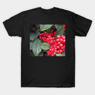 Red Christmas Berries of Harmony and Generosity T-Shirt